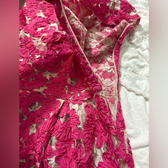 Yoana Baraschi Anthropology Fit and Flare Dress. Mesh with Pink Ribbon Overlay. - Picture 12 of 16